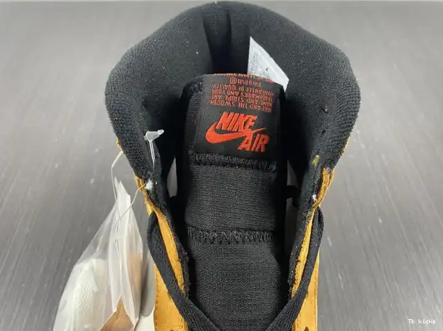 Reps TBK 1 Light Jordan DB2889-700 Element Gore-Tex Curry High 0619